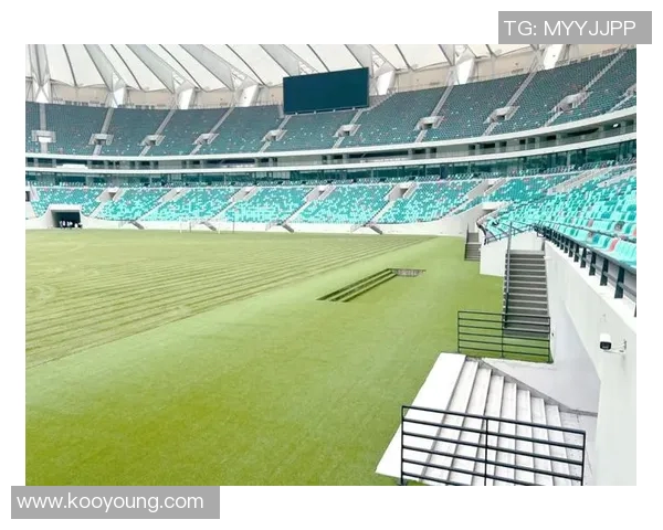 以球星足球场为核心打造全球体育文化新地标与城市活力中心